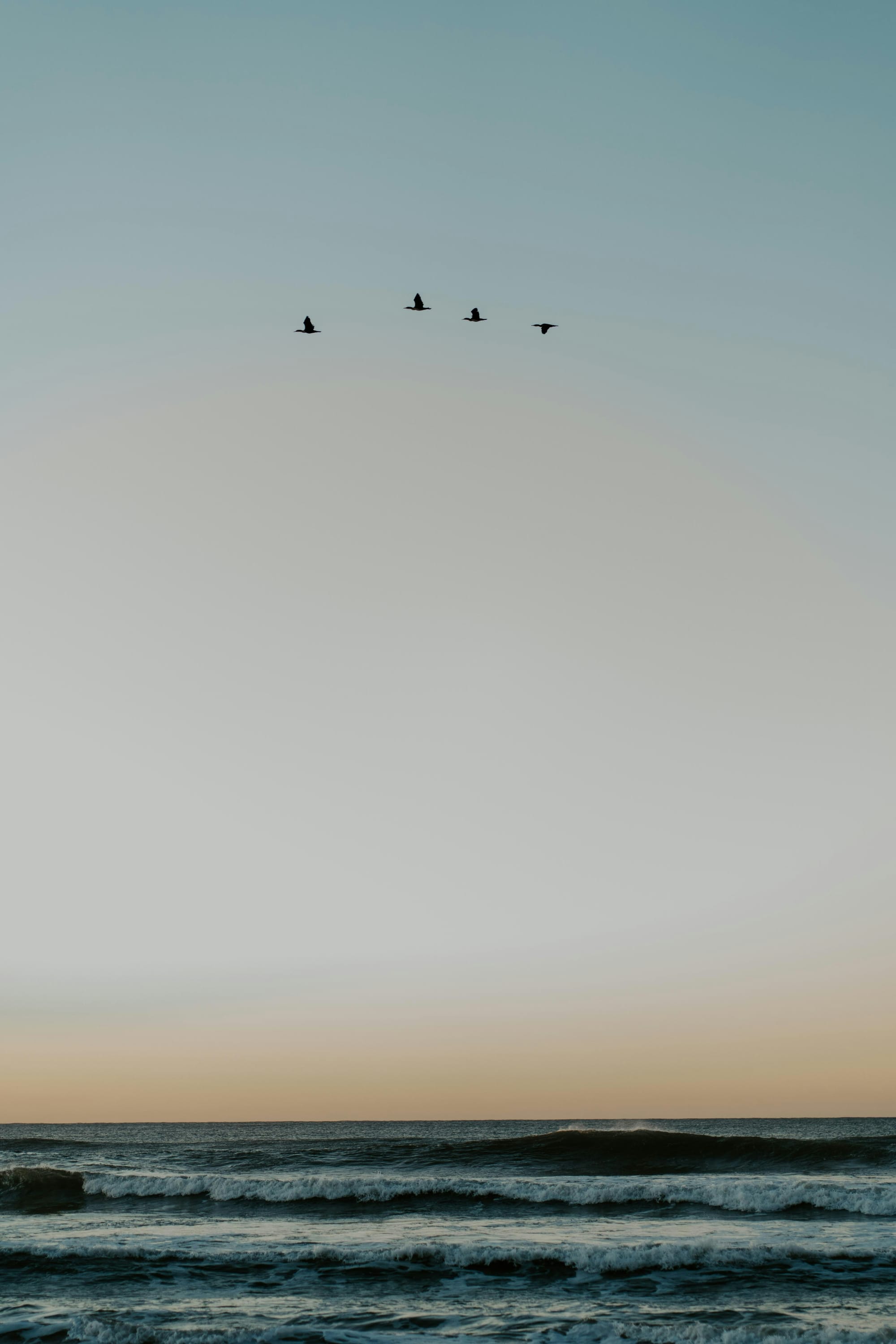 Quand tout s'arrête - laisser place à la lumière