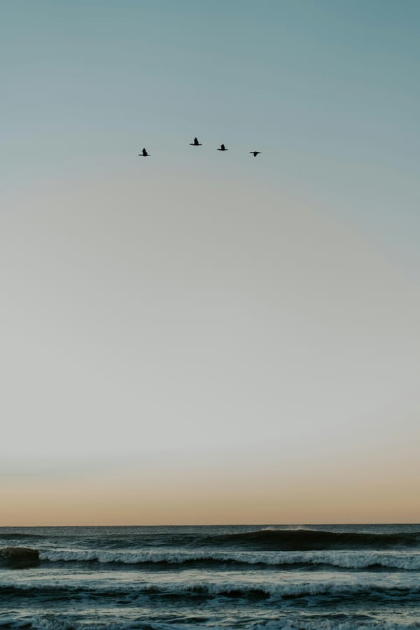 Quand tout s'arrête - laisser place à la lumière